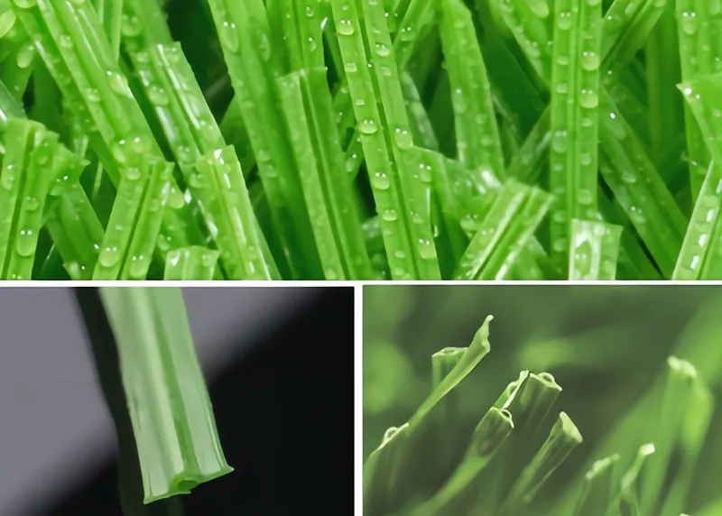 Visualizaci&oacute;n de Detalle del Producto